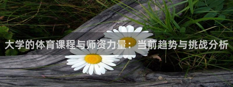 大学的体育课程与师资力量：当前趋势与挑战分析