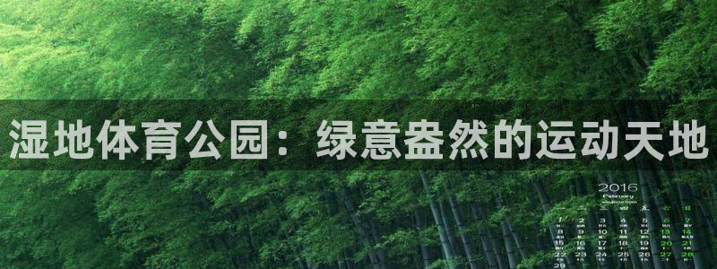 湿地体育公园：绿意盎然的运动天地