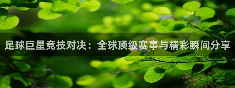 足球巨星竞技对决：全球顶级赛事与精彩瞬间分享