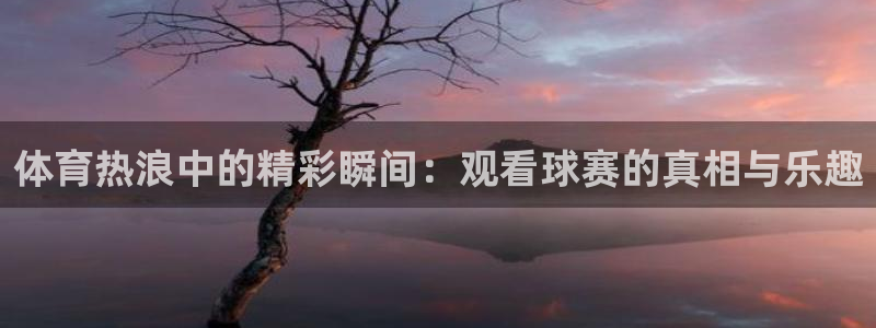 体育热浪中的精彩瞬间：观看球赛的真相与乐趣